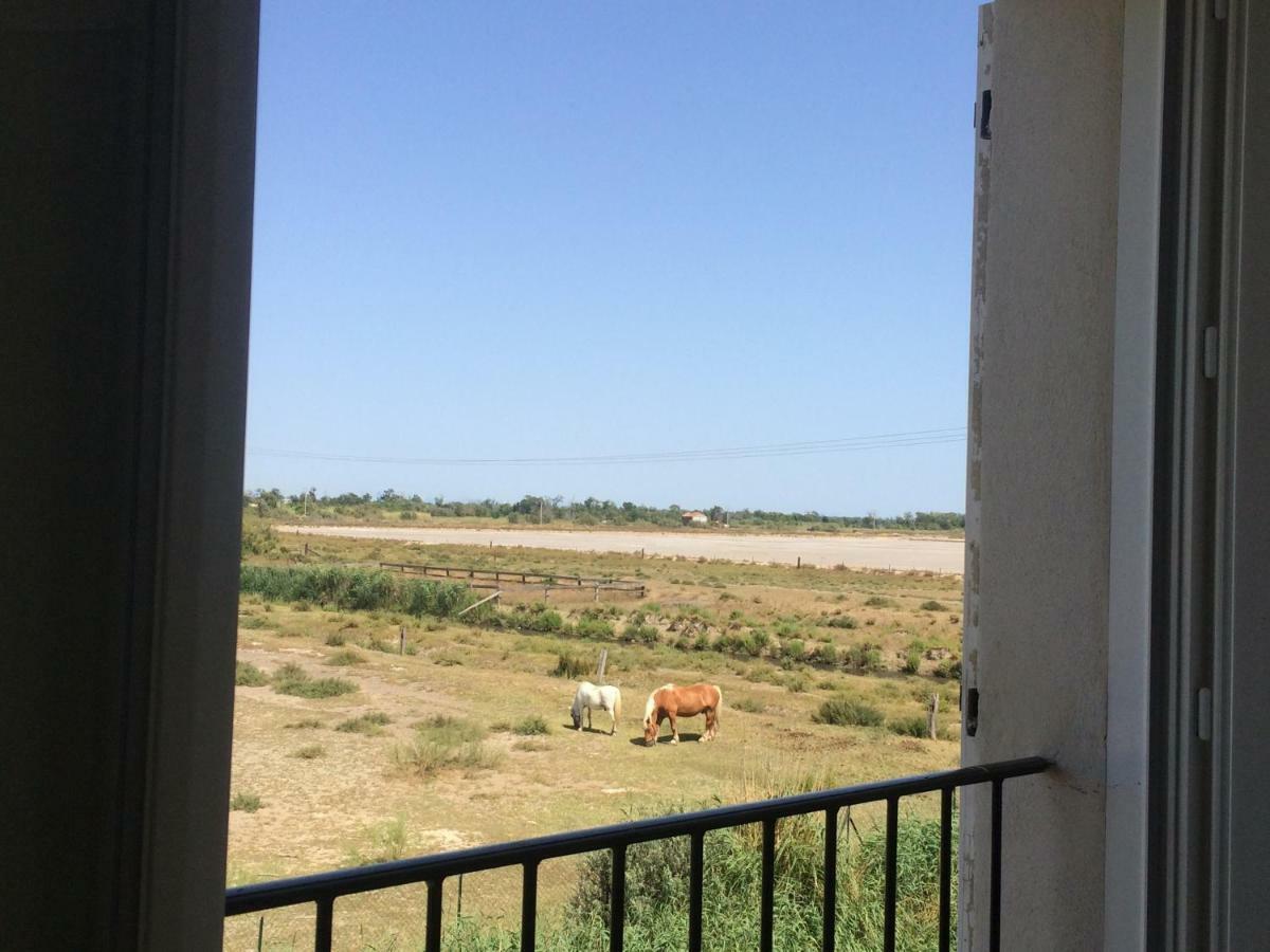 En Camargue Apartment Salin-de-Giraud Exterior photo